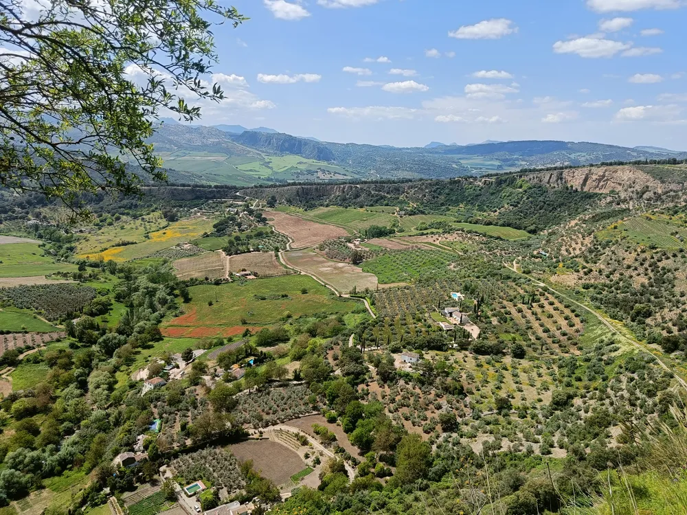 A valley of farmland, olive groves and woodland below a ridge